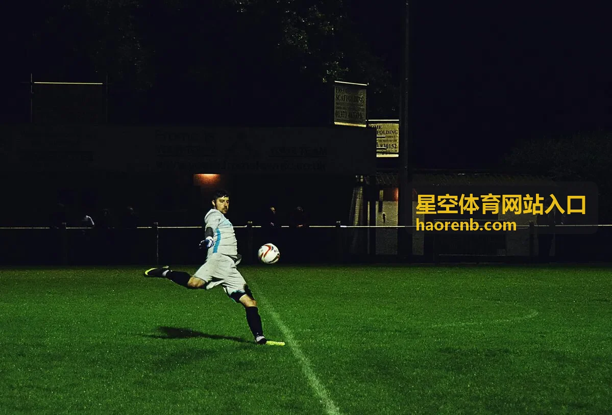 访问步骤与常见问题说明示意