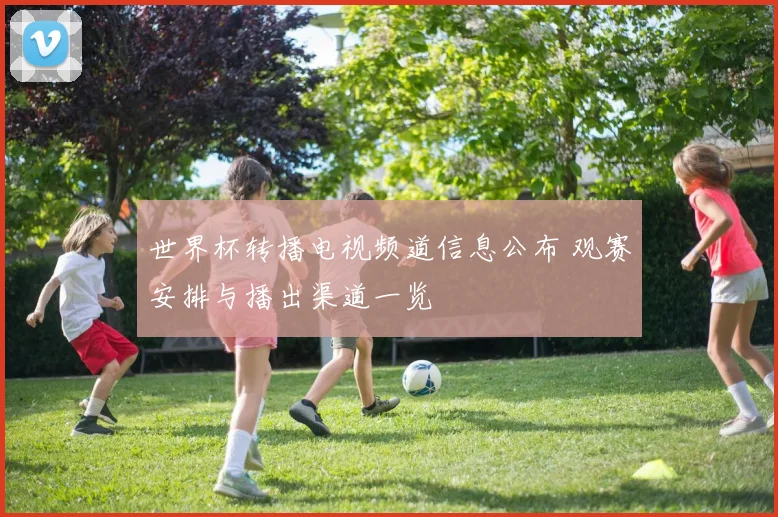 世界杯转播电视频道信息公布 观赛安排与播出渠道一览