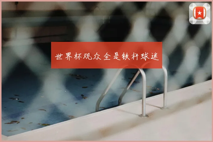 世界杯观众全是铁杆球迷