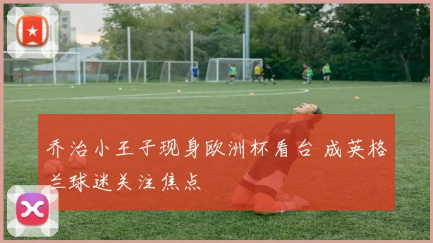 乔治小王子现身欧洲杯看台 成英格兰球迷关注焦点