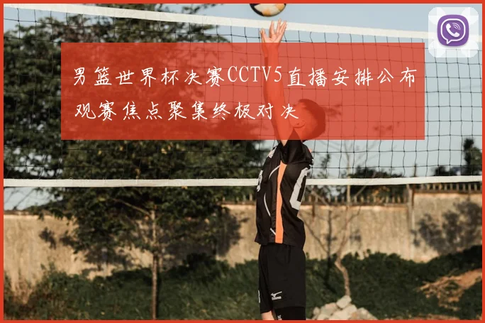 男篮世界杯决赛CCTV5直播安排公布 观赛焦点聚集终极对决