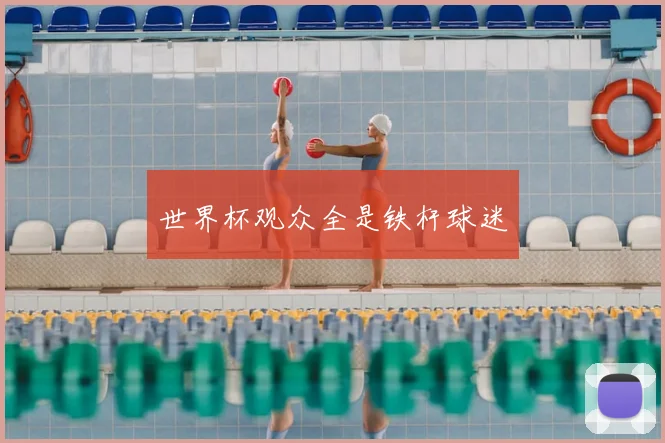 世界杯观众全是铁杆球迷