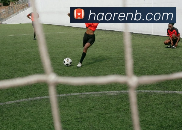 开云在线登录入口官网APP 封面图